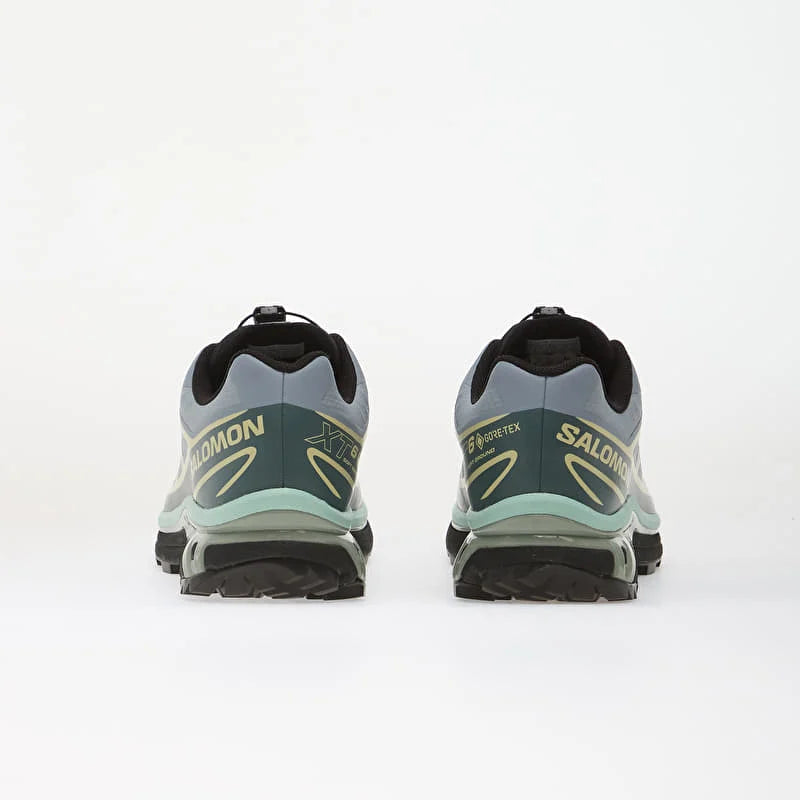 XT-6 GTX TRADEWINDS STORMW BOG