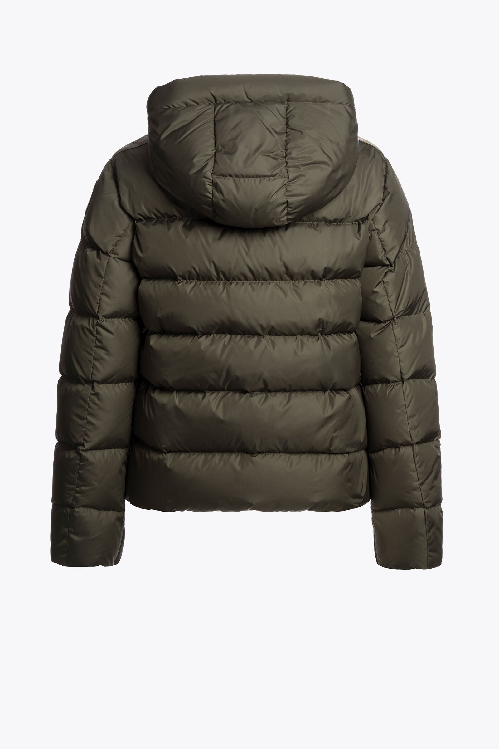JINNY WOMAN VERDE