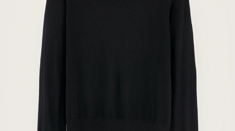 Suéter clásico Delen BEELEROSE