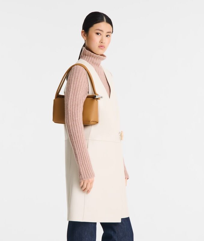 BOLSO  COLOR MARRON LONGCHAMP