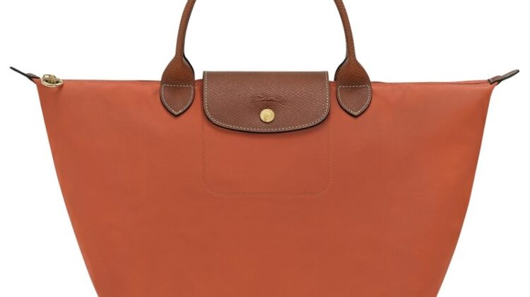 COLOR LADRILLO LONGCHAMP