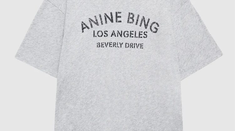 Cohen Tee Paris Stencil ANINE BING